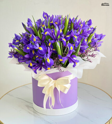 Blue Iris Flowers in a Box - Serene Elegance