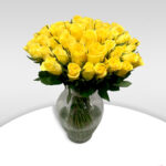 Yellow Roses