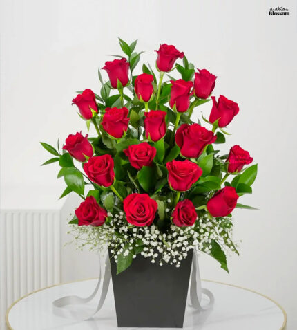 20 Red Roses in Black Box with Green Fillers & Baby's Breath
