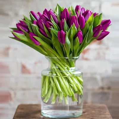 Sweet Purple - 30 Purple Tulips in a Glass Vase for Elegant Gifting & Home DÃƒÂ©cor