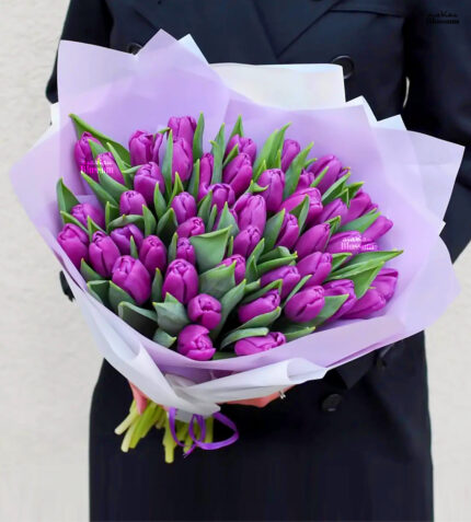 51 Purple Tulips