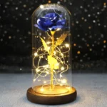 Rose Gift With Led Lights