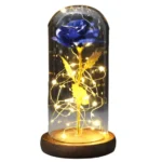 Rose Gift With Led Lights