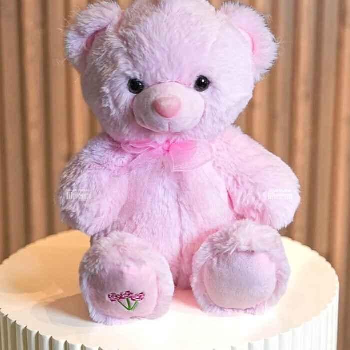 Pink Teddy Bear