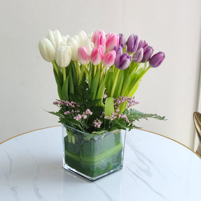 Mix Tulips In a Cube Vase
