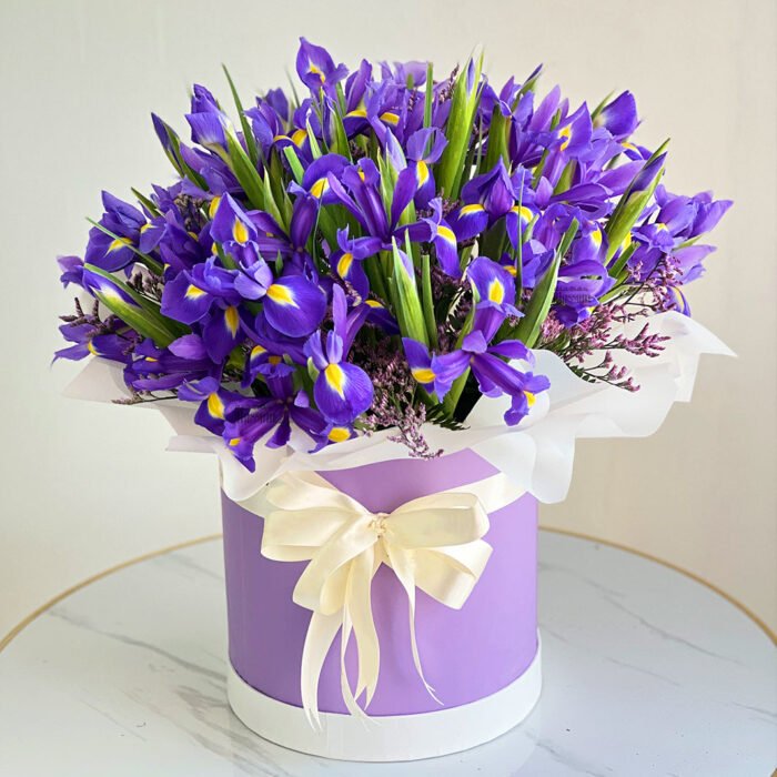 30 Blue Iris Flowers In a Purple Box
