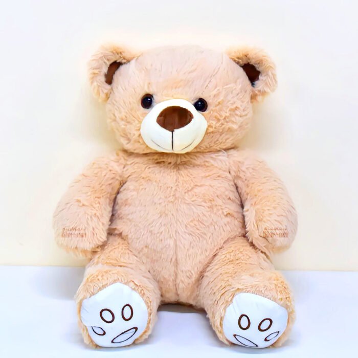 Teddy bear