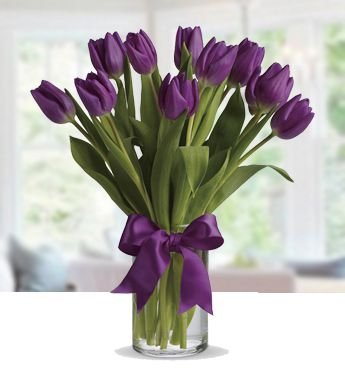 Sweet Purple 10 Stems