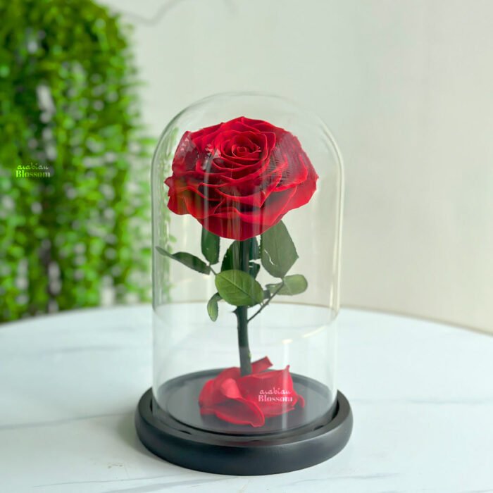 Forever Preserved Red Roses