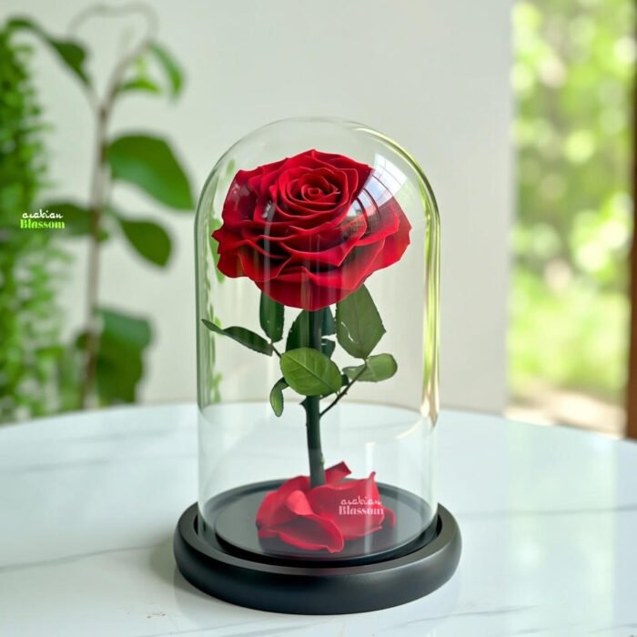 Eternal Love Preserved Red Roses Timeless Gift for Romance & Special Occasions