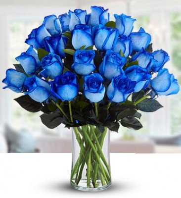 25 Blue Roses In a Vase