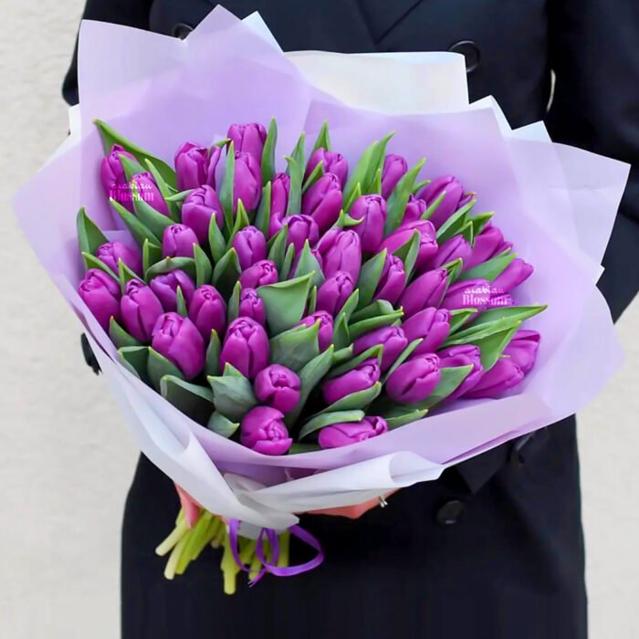 51 Purple Tulips